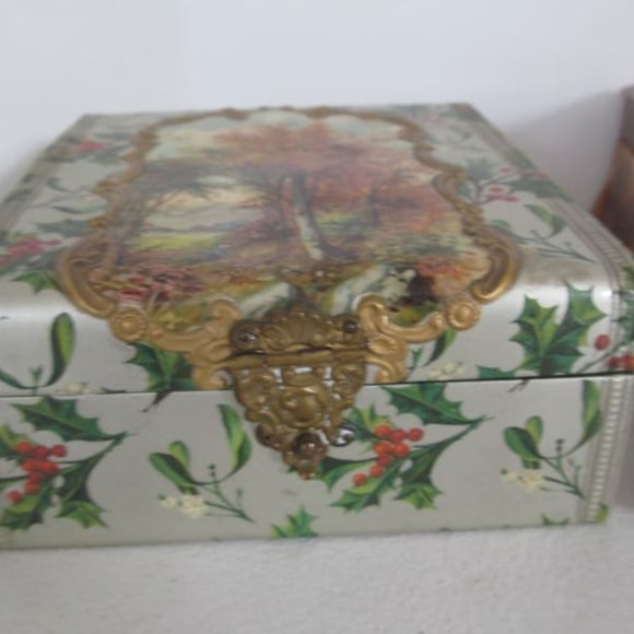 Victorian Celluloid Jewelry Box Silk Lined Vanity Box Jewelry Box White Birch - Picture 4 of 10